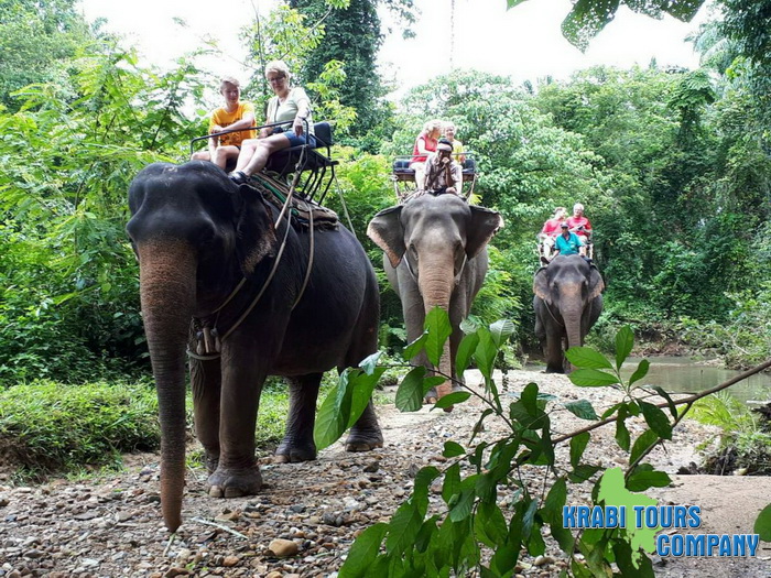 Krabi Elephant Trekking Program A